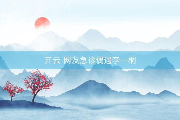 开云 网友急诊偶遇李一桐